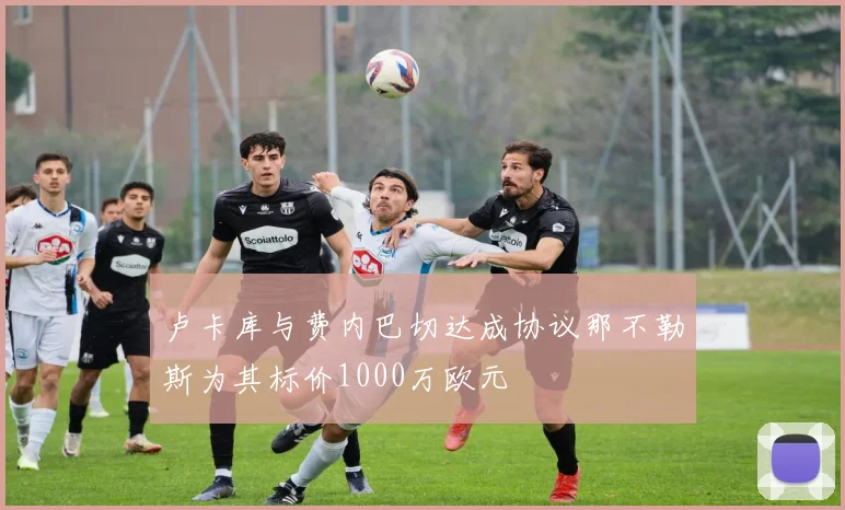 卢卡库与费内巴切达成协议那不勒斯为其标价1000万欧元